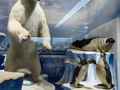 -国家自然博物馆