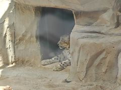 -青藏高原野生动物园