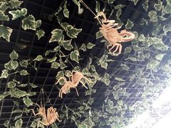 -上海昆虫博物馆