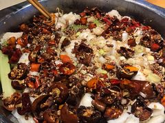炝草鱼-万和源炝锅城·活鱼现炝(文艺北路店)