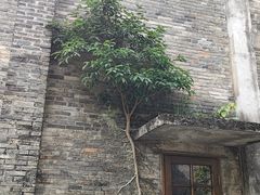 -阳朔糖舍酒店·糖舍餐厅&酒吧
