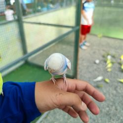 -萌宠亲子动物乐园(槐房万达店)