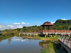 -立新湖公园
