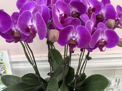 -谦和素食自助餐(云峰花园店)