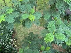 -云溪植物园