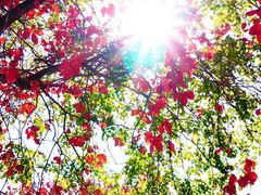 -北京西山国家森林公园