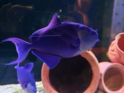 -Zoolung Zoolung动物主题公园(海信广场店)