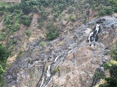 -热带雨林自然公园
