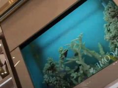 -达拉斯 沃斯堡国际机场