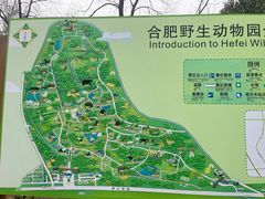 -合肥野生动物园