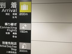 -中部国际机场
