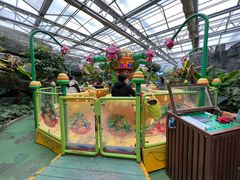 -南宫五洲植物乐园