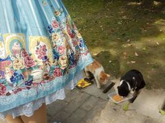 -苏州河梦清园环保主题公园