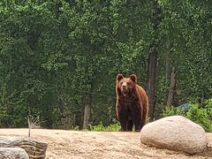 -北京野生动物园