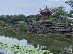 -顺峰山公园