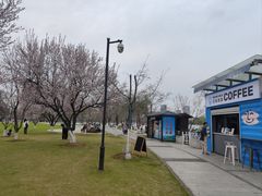 -Beans Solo豆号咖啡(百家湖花园店)