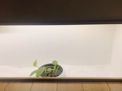 -常乐·对症推拿(来福士第43分店)