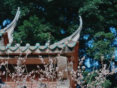 -草庵摩尼教遗址公园