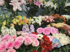 -FEI FEI FLOWER鲜花店·气球派对·宝宝宴布置(虹口德必运动Loft店)