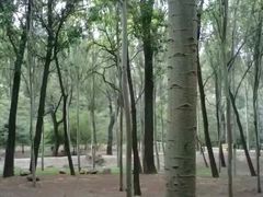 -森林公园(尖草坪区)