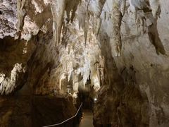 -怀托摩萤火虫洞