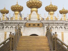 -上海东林寺(金山区)