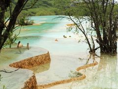 -黄龙山原始森林景区