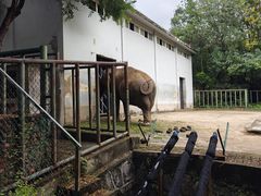 -合肥野生动物园