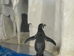 -太平洋海底世界