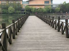 -溱湖国家湿地公园