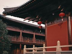 -广富林郊野公园
