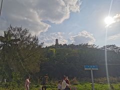 -分塔山省级森林公园