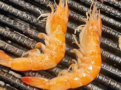 -桃马桃·韩式烤肉·烤猪皮专门店