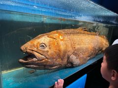 -国家自然博物馆