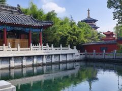 -百脉泉景区