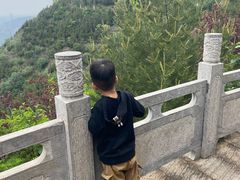 -象山森林公园