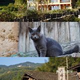 国庆假期云和梯田详细🔎攻略，附避开人流秘决🌄