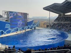 -上海海昌海洋公园