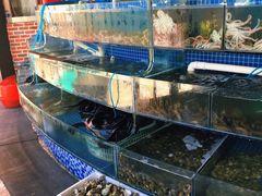 水产区-蟹谢蒸鲜自助餐厅