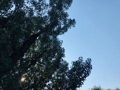 -奥林匹克森林公园北园-停车场