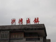 -针姨