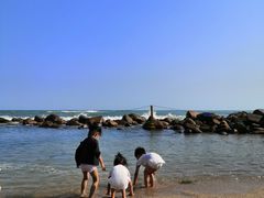 -广东惠东海龟国家级自然保护区