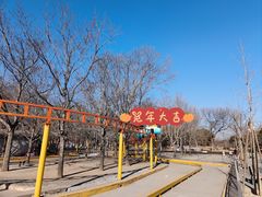 -朝阳公园游乐园
