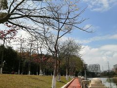 -五邑大学