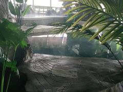 -汤乐汇•足道•SPA生活馆