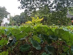 -丝绸小镇荻港古村