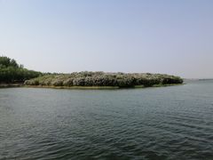-丁香湖公园