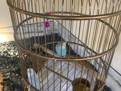 -小厨娘淮扬菜(六合欢乐港店)