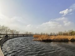 -绿堤公园