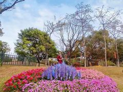 -云溪植物园